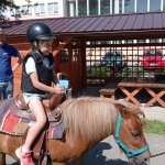 phoca_thumb_m_ponk 85 Fotogalerie